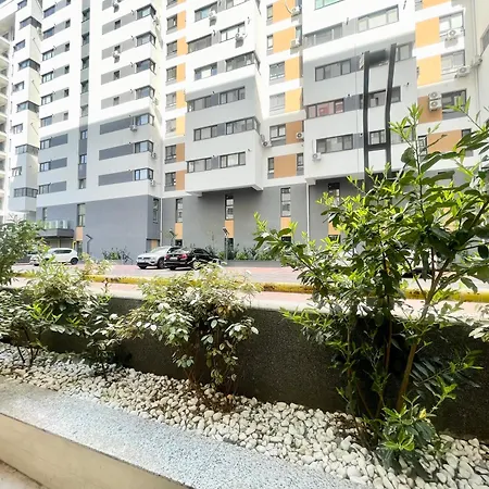 Adress Cd12 Apartament *